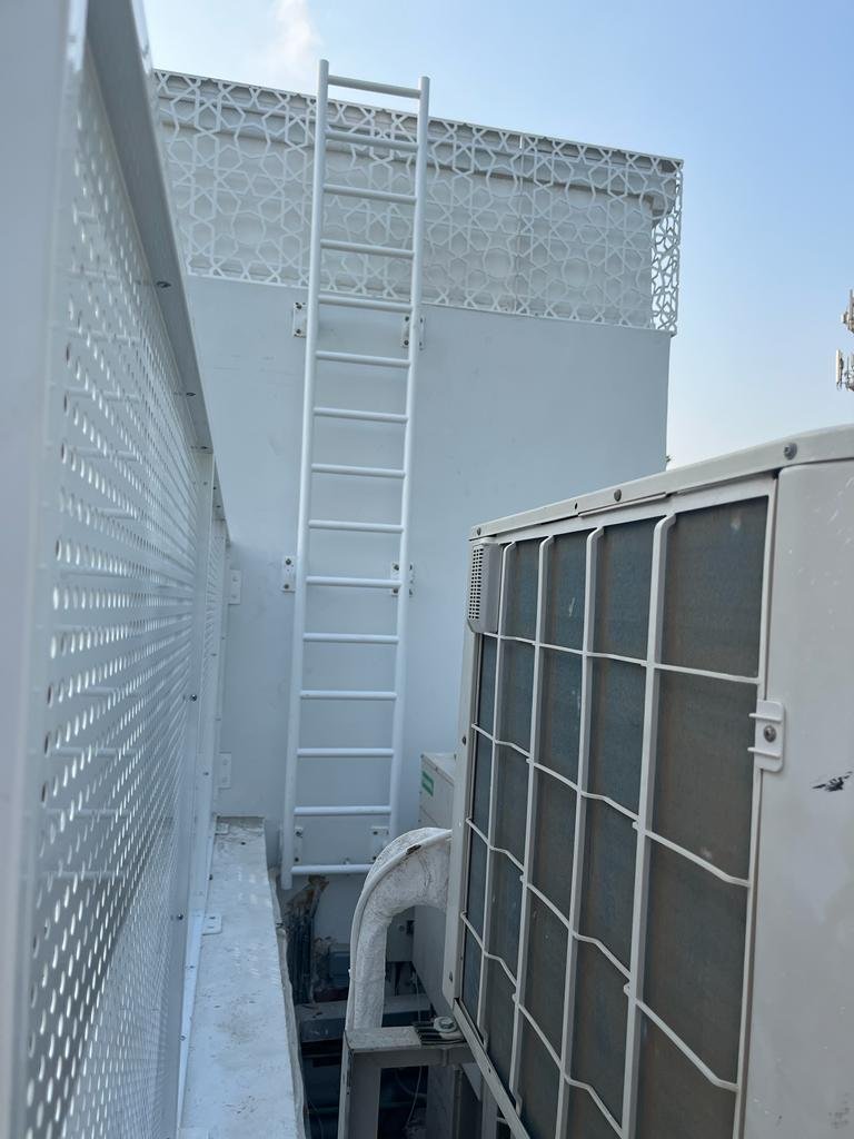 Cat Ladder